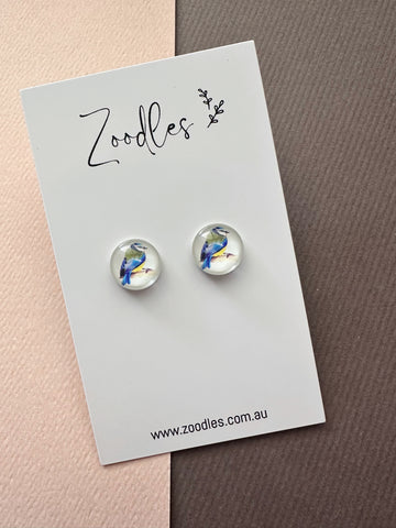 Zoodles Glass Studs