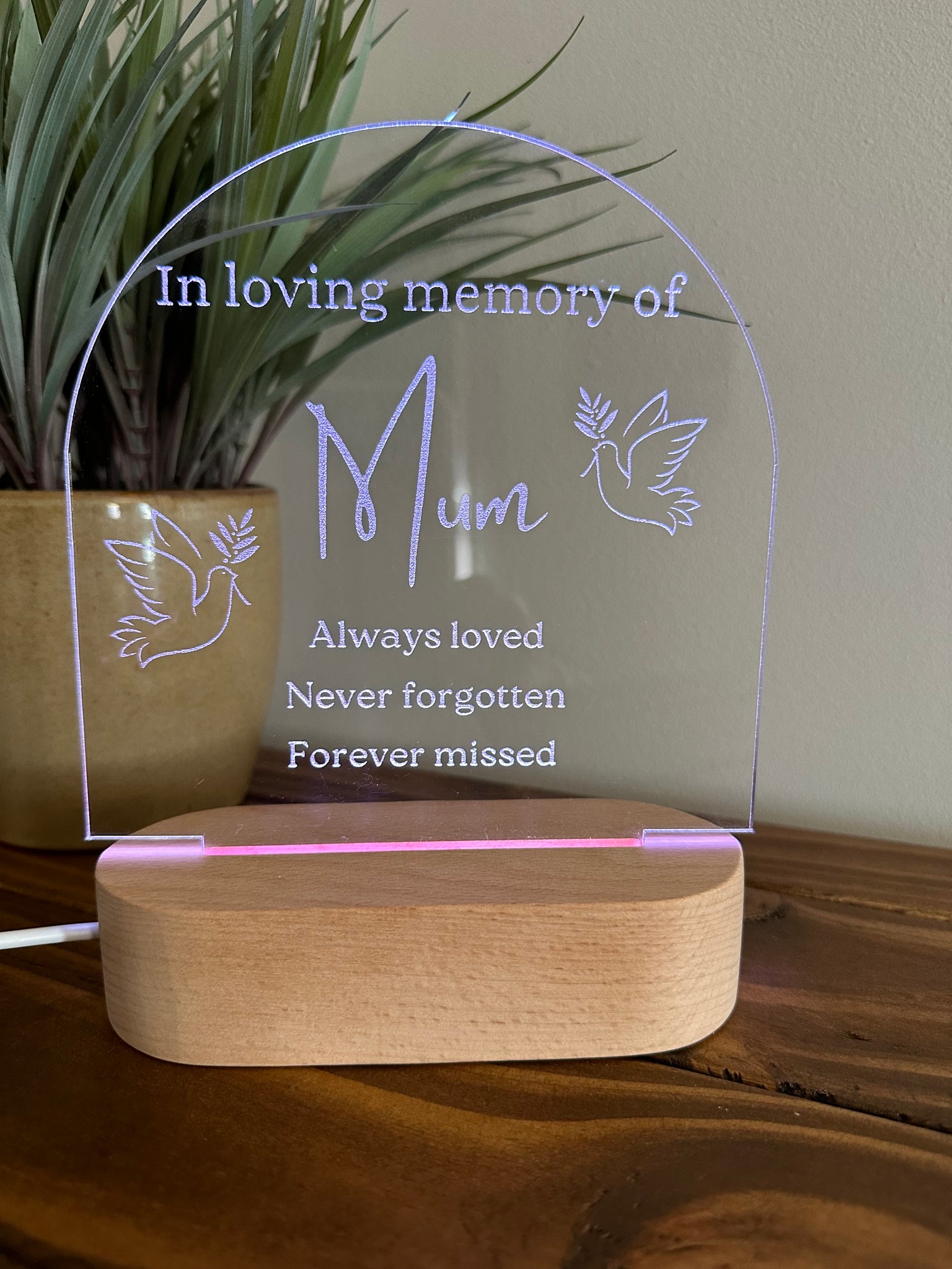 Zoodles Personalised Mother’s Day Keepsake Plaque & LED Night Light - Loving Memory